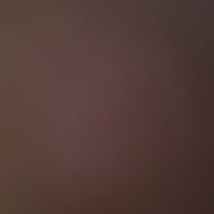 Meet your Posher, Anissa